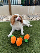 Carrot Farm Educational Plush Toy