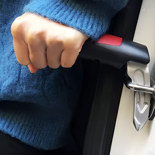 Multifunctional Vehicle Assist