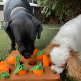 Carrot Farm Educational Plush Toy