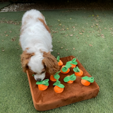 Carrot Farm Educational Plush Toy